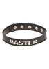 X-PLAY MASTER COLLAR