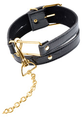 FF GOLD COLLAR & LEASH