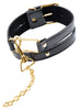 FF GOLD COLLAR & LEASH