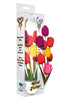 FLOWER VIBE WILD TULIPS